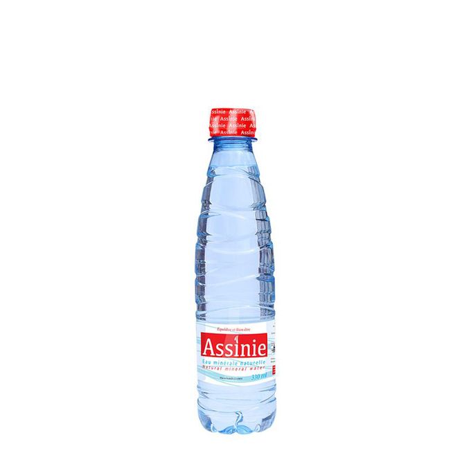 EAU MINERALE ASSINIE 0.33 L