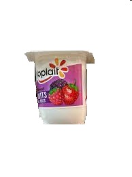 YAOURT FRUITS DES BOIS YOPLAIT 125G