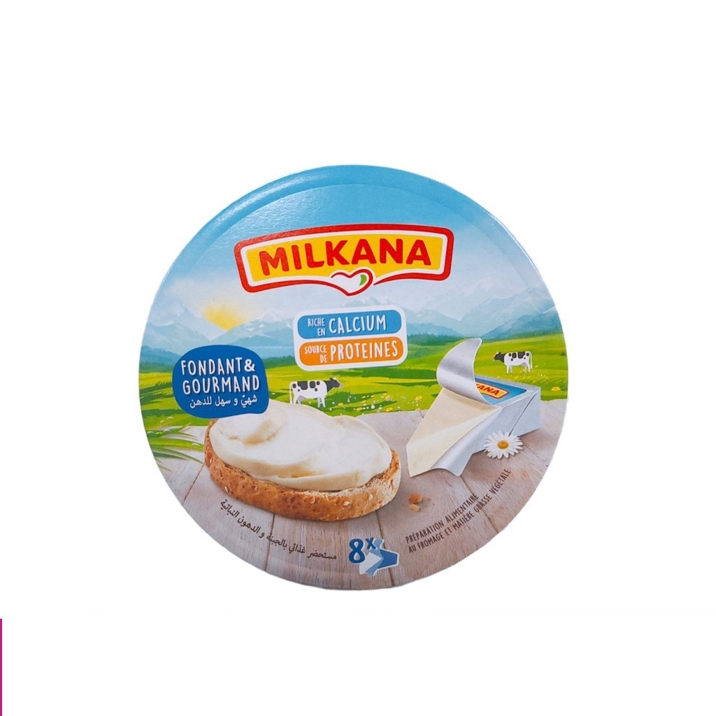 FROMAGE 8 PORTIONS MILKANA